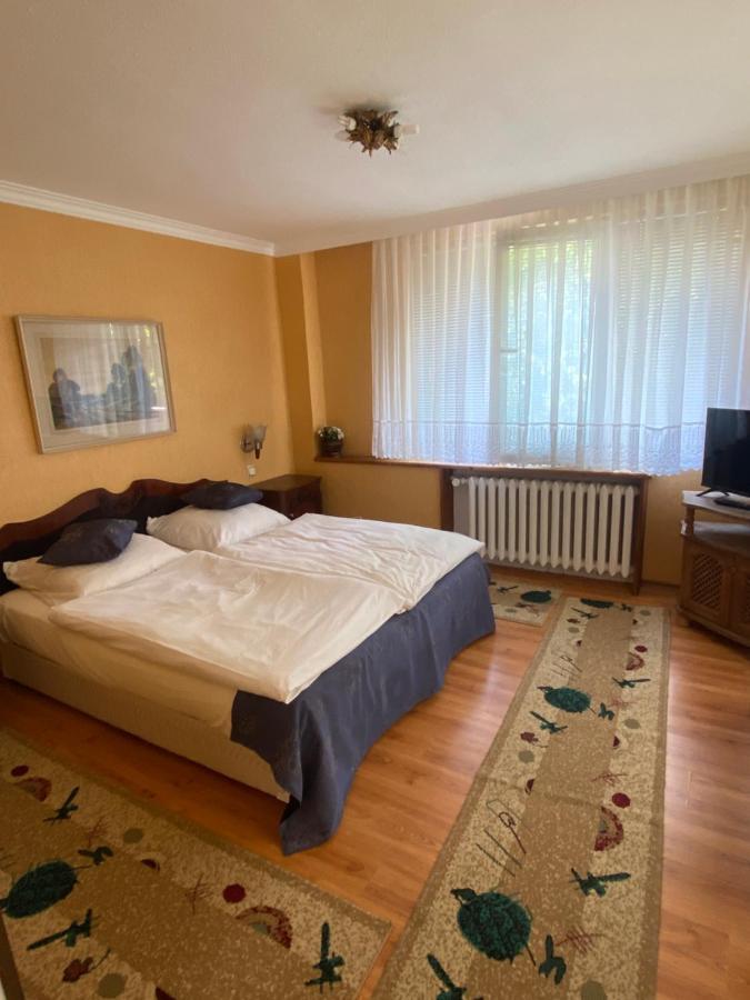 Family Hotel Zdravets Sofia Rum bild